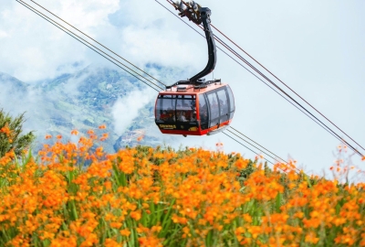 TE_VÉ CB CÁP TREO + BUFFET TRƯA