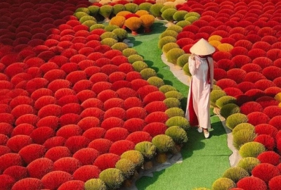 Ha Noi Full Day: City Tour & Traditional Craft Villages 
